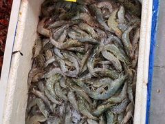 -深圳龙华星河COCO City(民治店)