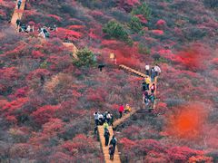 -水峪民俗村