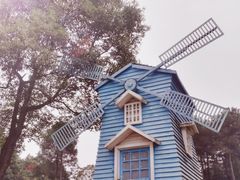 -铁山坪森林公园