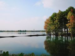 -贡湖湾湿地公园