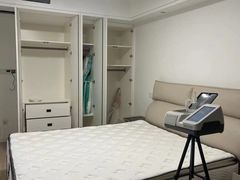 -全屋清新除甲醛 上海