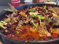 -老板恋上鱼(恒隆广场店)