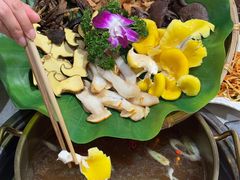 -大理董·董家小厨野生菌火锅(古城旗舰店)