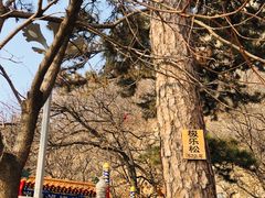 -青岩寺风景区