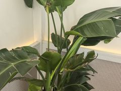 -太二酸菜鱼(兴业太古汇店)