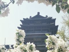 -济南大明湖景区