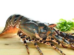 锦绣花龙-旺福林海鲜·川菜·海鲜加工(三亚湾椰梦长廊店)