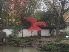 -秋霞圃