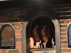 -同喜烤鸭店(光芒店)