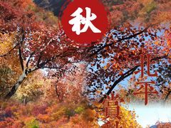 -Catail前苑(前门大街店)