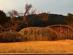 -惠山国家森林公园