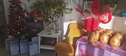 -联合丽格·张菡丽格医疗美容