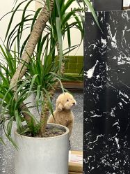 -Hair Co.一间沙龙