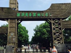 -溱湖国家湿地公园