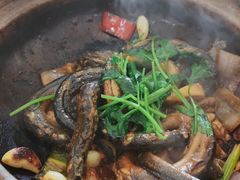 黄鳝煲-台山第一家兴华黄鳝饭·黄鳝婆(开平店)