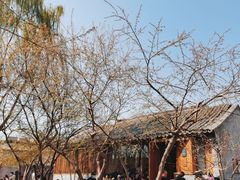 -春风习习
