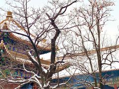 -雍和宫