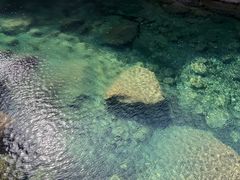 -石台牯牛降景区