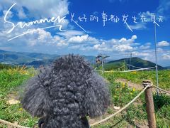 -太舞滑雪小镇