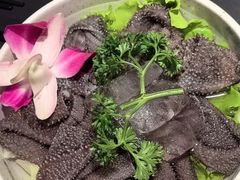 -蜀九香火锅(彩虹店)