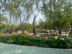 -太阳宫公园