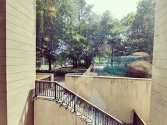 -惠州白鹭湖雅居乐喜来登度假酒店-采悦轩中餐厅