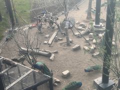 -武汉动物园