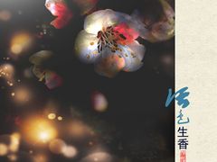 -北京植物园南门售票处
