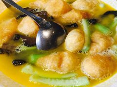 -素虎小呆鸟(西二旗店)