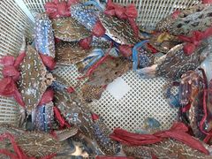 -后田海鲜餐厅(南澳香湖湾店)