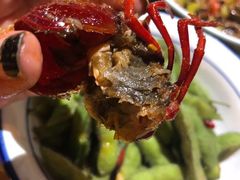 -琥珀老六龙虾(四里河店)