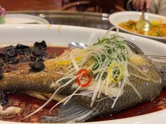 -龙悦湾酒家·八阵鱼生·渔人码头店
