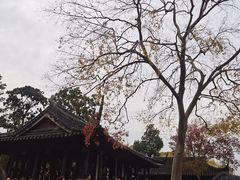 -拙政园