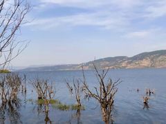 -阳宗海湿地