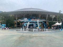 -海合安成都极地海洋公园
