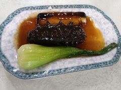葱烧海参-蓬莱春(芝罘店)