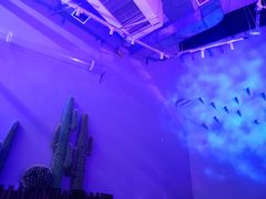 -极木²邸 人与宠物·互动社区
