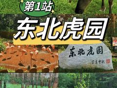 -长春市南湖公园