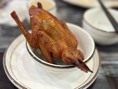 -鸽鸟轩(石岐店)