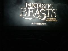 -国文影城(上海闸北店)