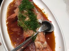 清蒸海钓东星斑-皖宴(合肥店)