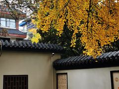 -郑和公园
