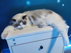 -零纪元VR体验馆·桌游(黄浦店)