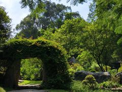 -东莞植物园