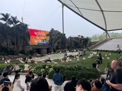 -新加坡飞禽公园