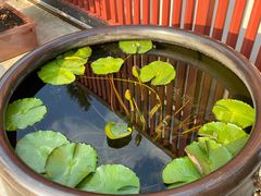 -龙华素斋(龙华路店)