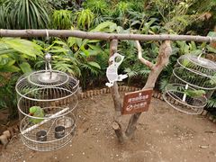 -南宫五洲植物乐园