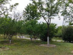 -永定河休闲森林公园