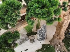 -汤里来温泉