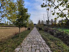 -广富林郊野公园